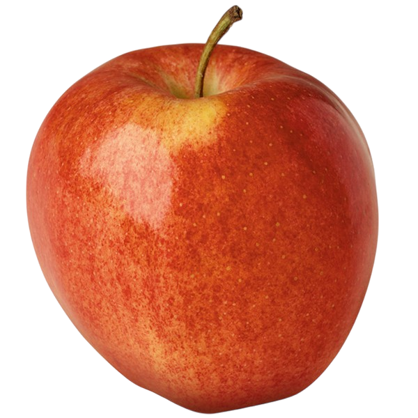 Gala Apples 2 ct