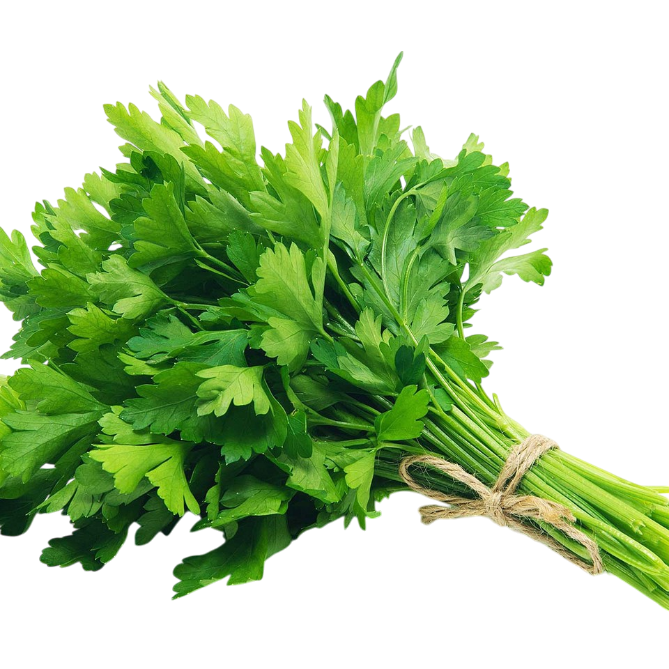 Italian Parsley - each