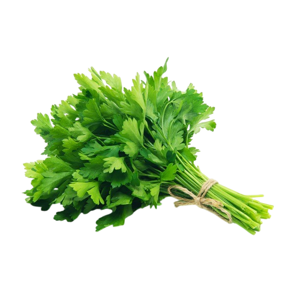 Cilantro - each
