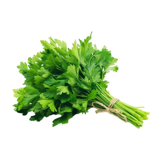 Cilantro - each