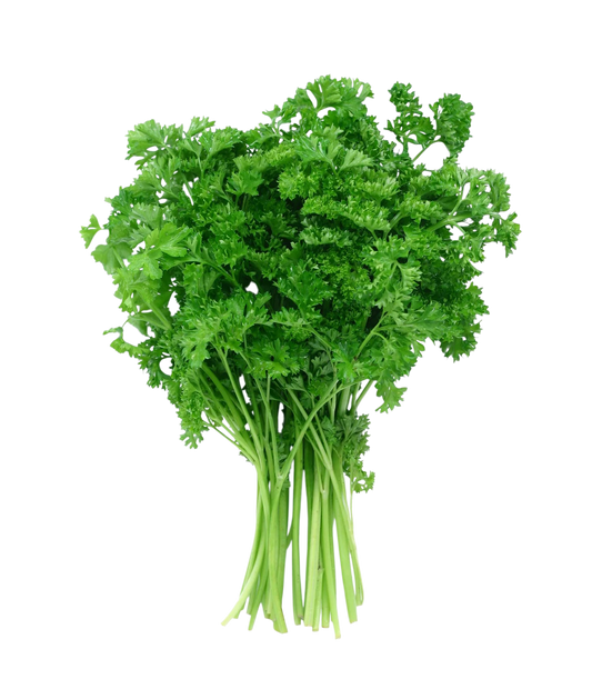 Curly Parsley 1 each