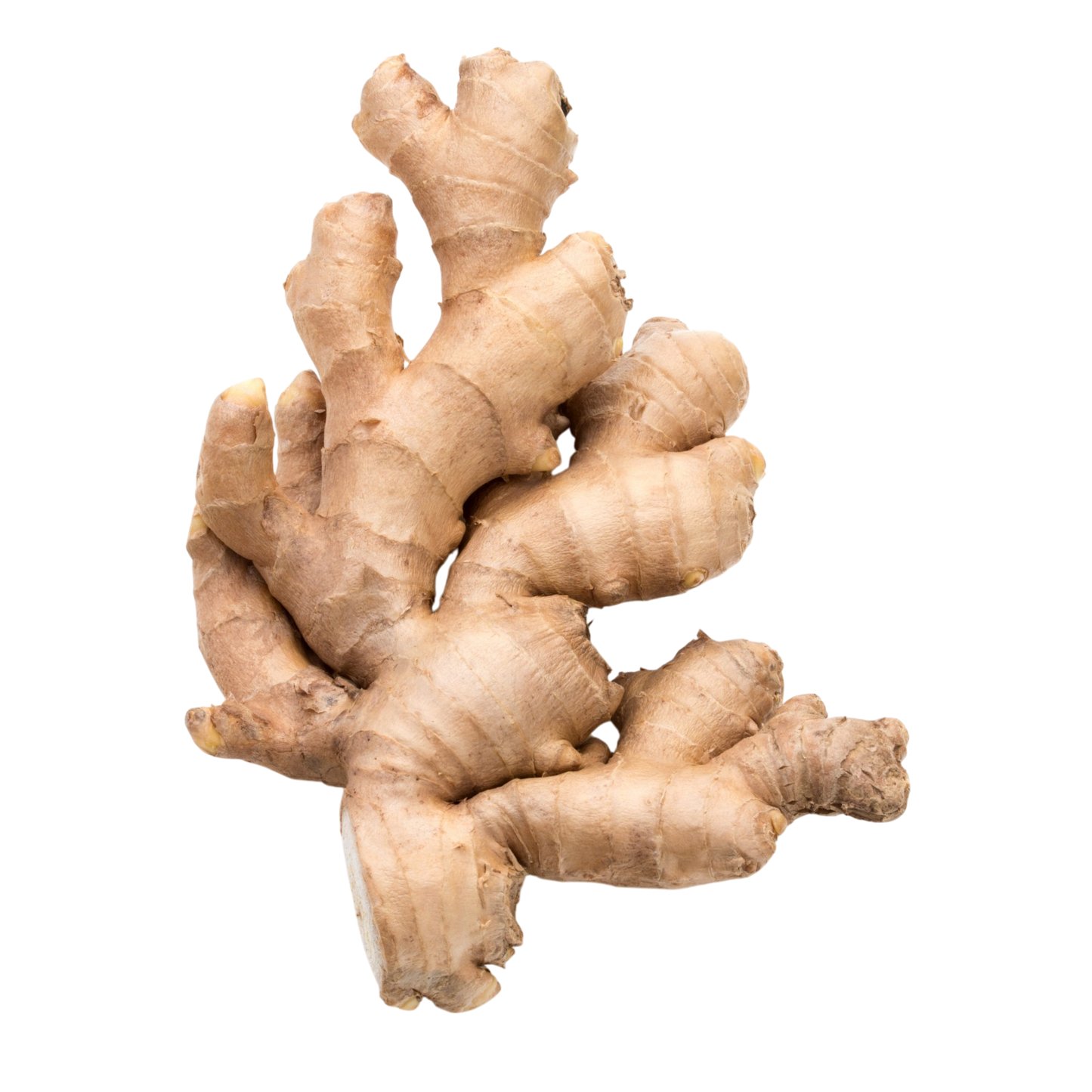 Ginger Root 1 lb