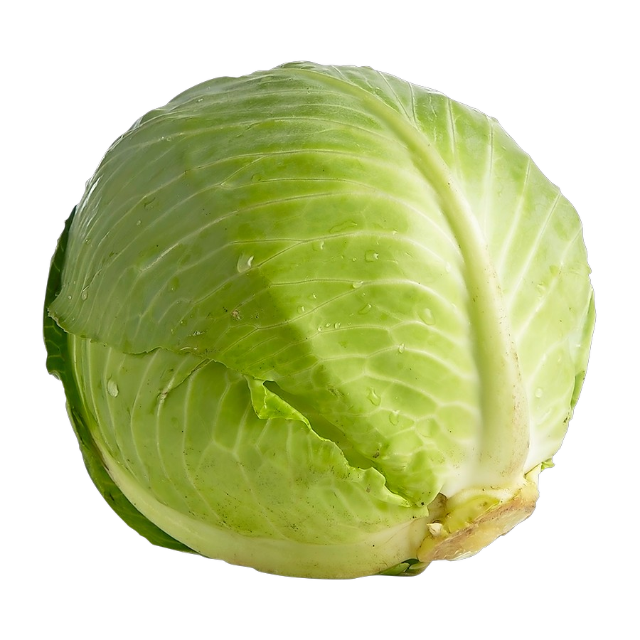 Green Cabbage - 1 each