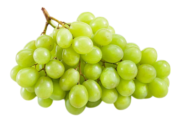 Green Seedless Grapes 1 lb