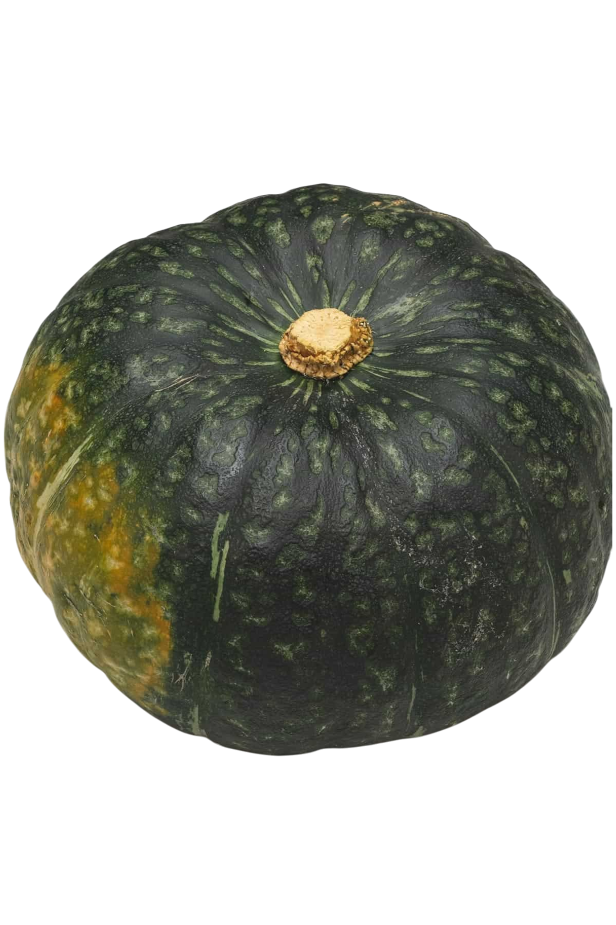 Kabocha squash 1 each