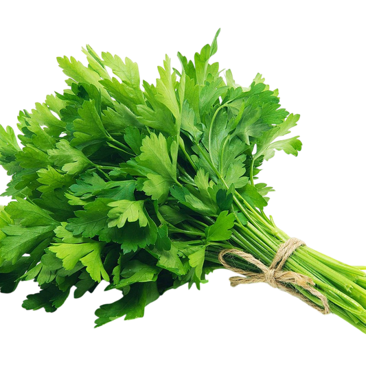 Italian Parsley - each