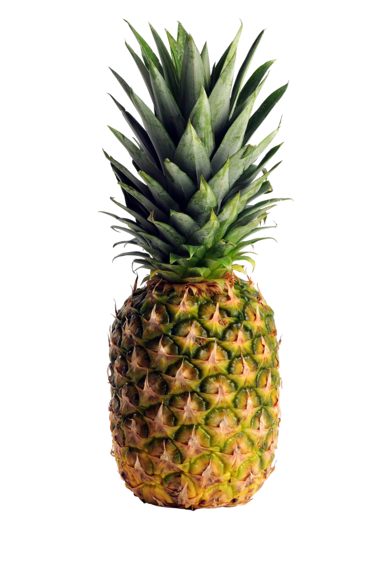 Pineapple 1 each