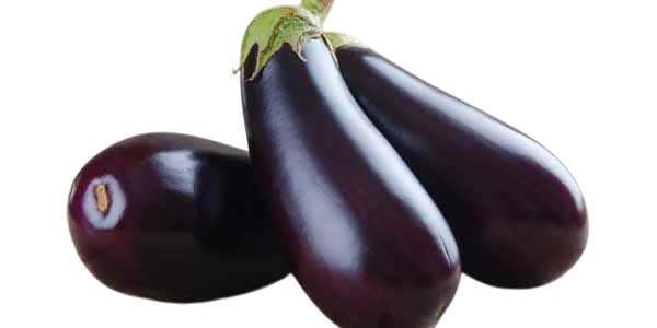 Purple Eggplant 1 lb