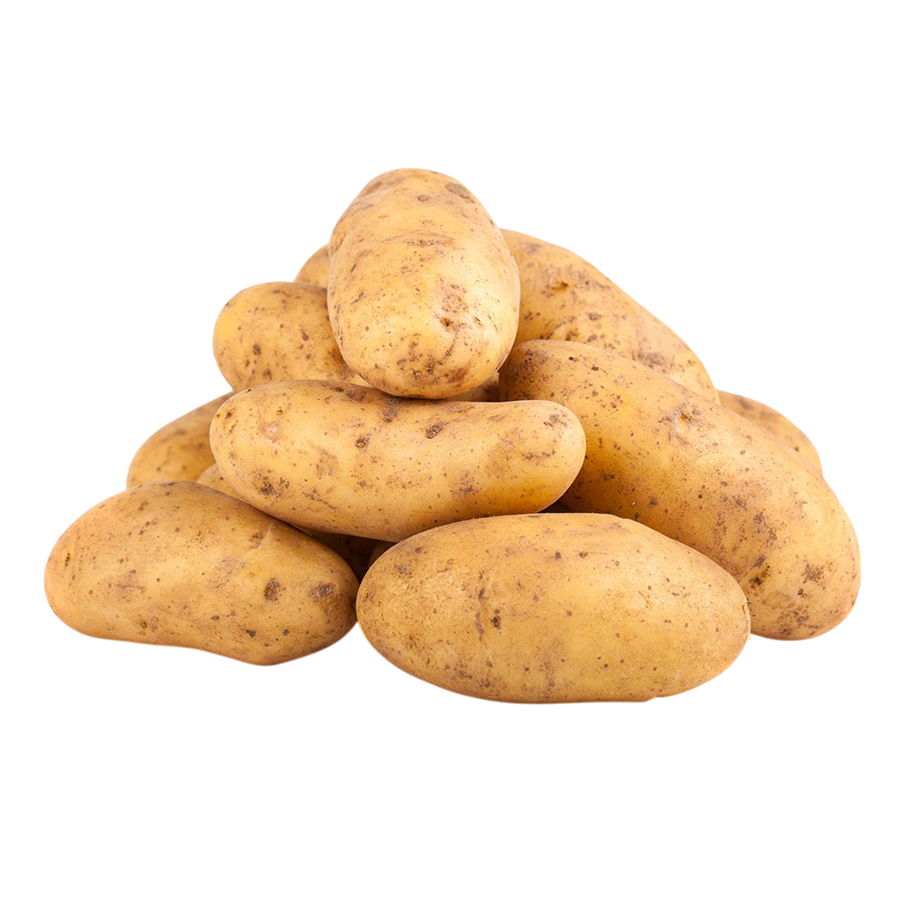 Russet Potatoes 1 lb