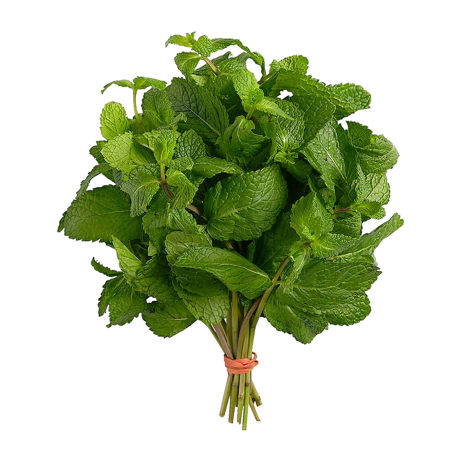 Mint Bunch 1 each